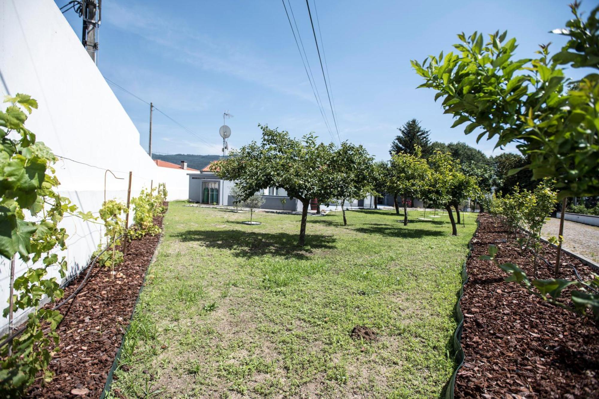 فيلا Quinta Do Pomar Pomar Farm Briteiros المظهر الخارجي الصورة
